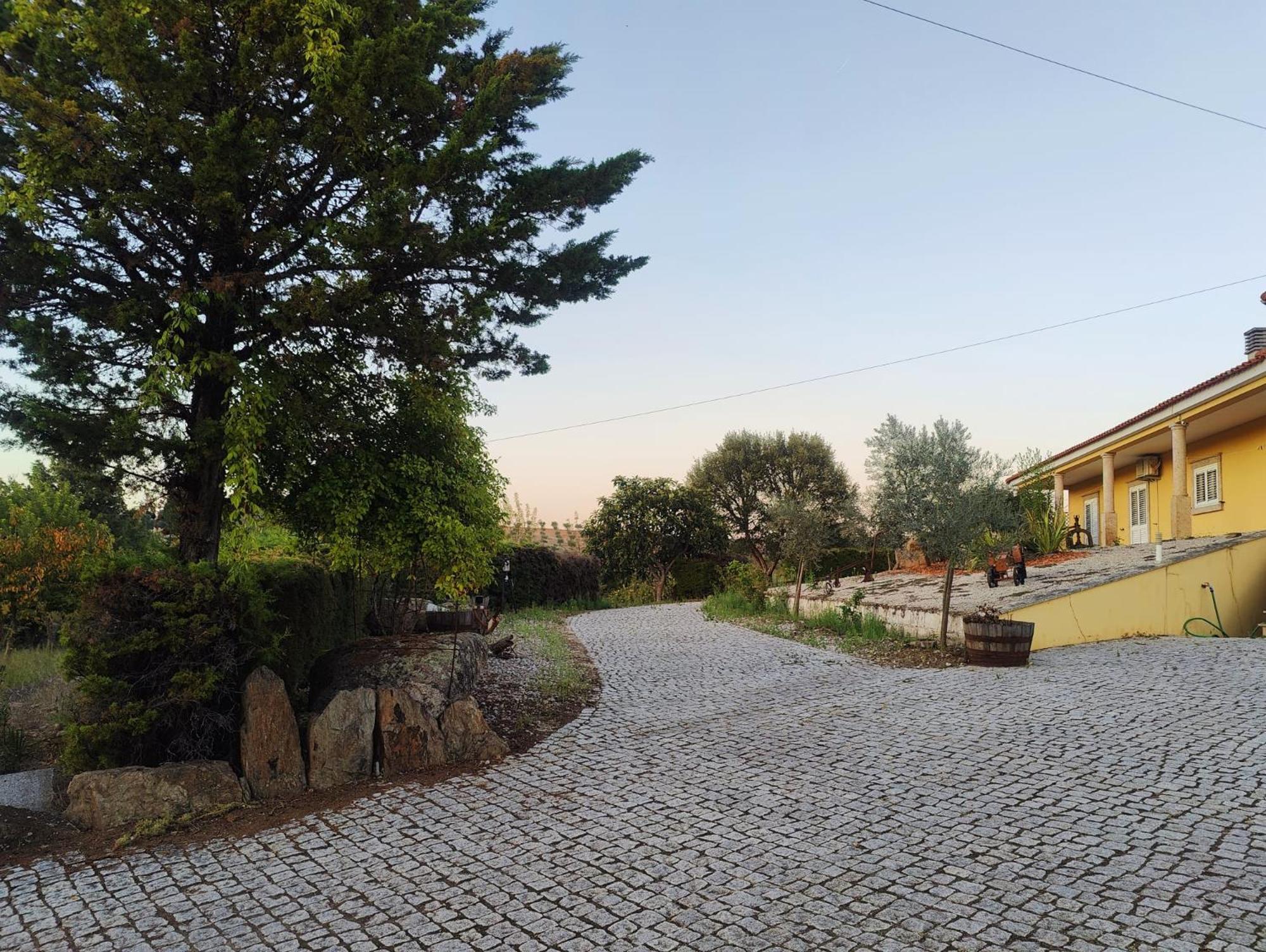 Quinta Da Libelinha Alojamento Local - Mirandela Extérieur photo