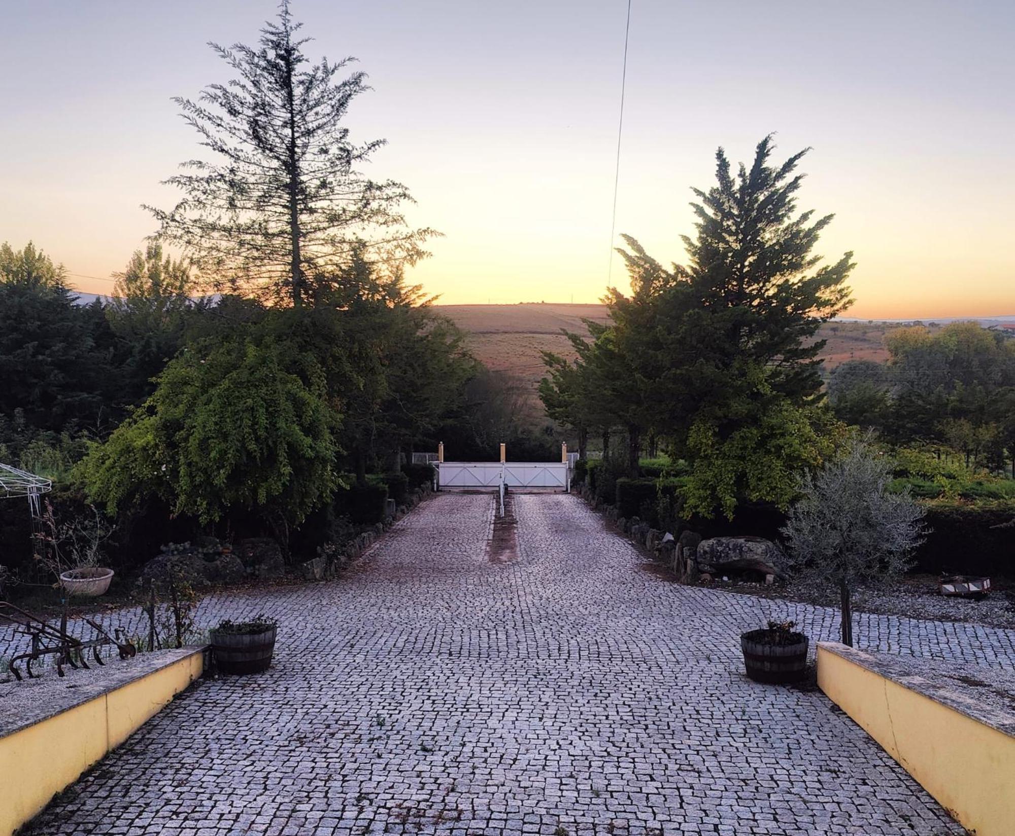 Quinta Da Libelinha Alojamento Local - Mirandela Extérieur photo